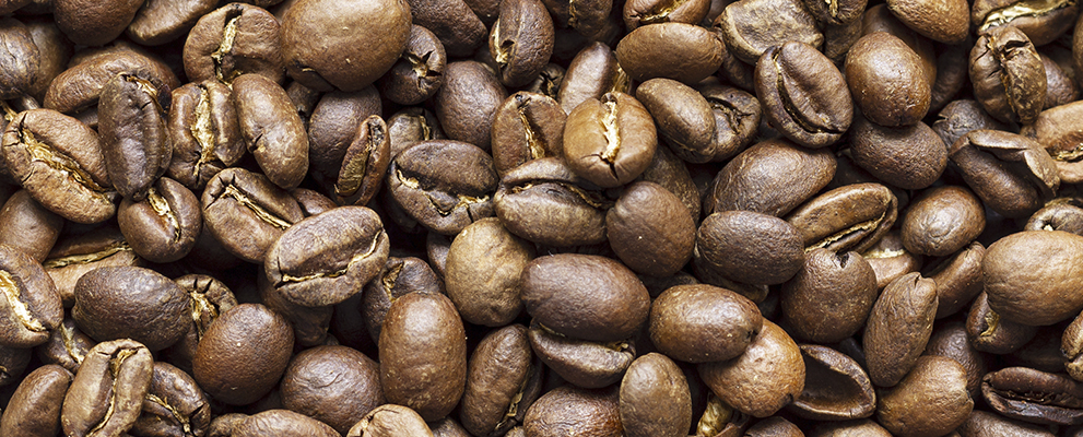 Grãos secos de café arábica (coffea arábica) e conilon (coffea